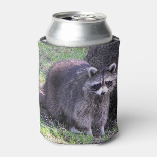 Rocky the Raccoon Dosenkühler