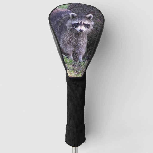 Rocky the Raccoon Golf Headcover (Vorderseite)