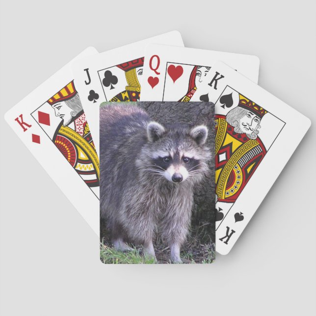 Rocky the Raccoon Spielkarten (Rückseite)