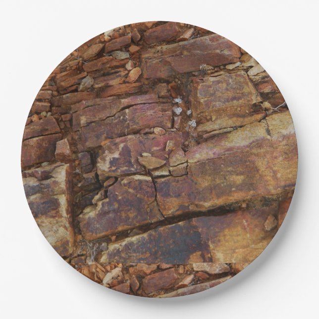 Rocky View Pappteller (Vorderseite)