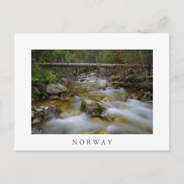 Rocky-Wald-Bach Weißer Text Postkarte (Vorderseite)