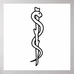 Rod von Asclepius Poster