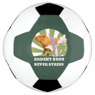 Rodent Bros Stress Capybara Fußball