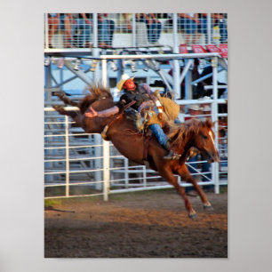 Rodeo Bucking Poster