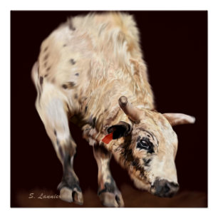 Rodeo Bull Poster