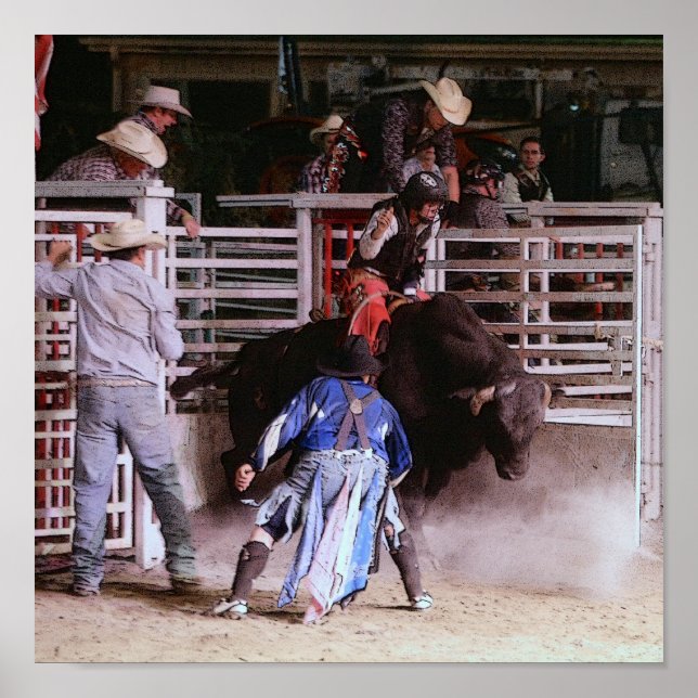 RODEO: BULL RIDING POSTER (Vorne)