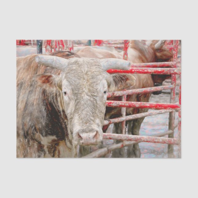 Rodeo Bull Rustikal Western Seidenpapier (Vorderseite)