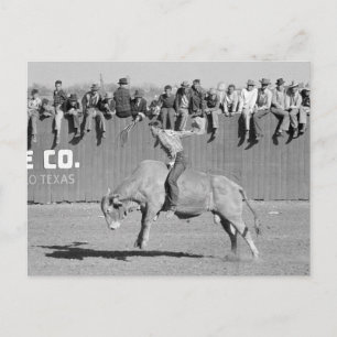 Rodeo-Bulle-Reiter, 1940 Postkarte