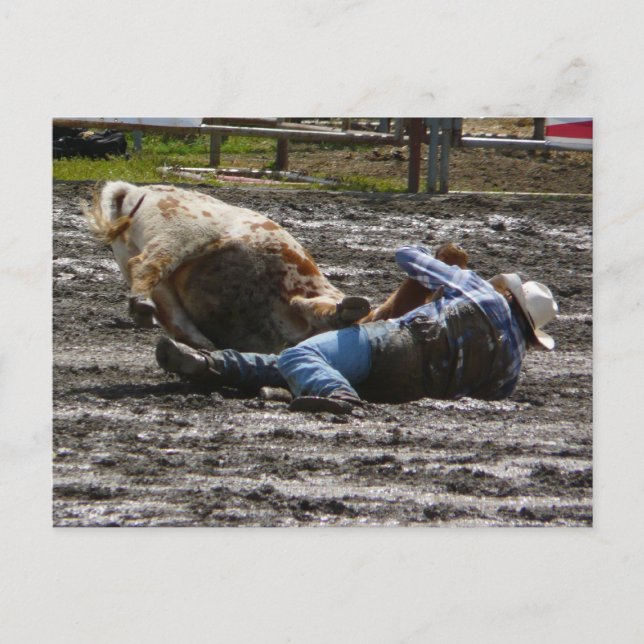 Rodeo Cowboy Steer Wrestling Postkarte (Vorderseite)