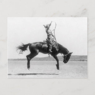 Rodeo-Cowgirl auf Pferd Vintage-Foto Postkarte