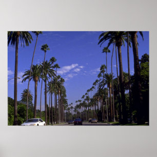 Rodeo Drive, Beverly Hills, Kalifornien Poster