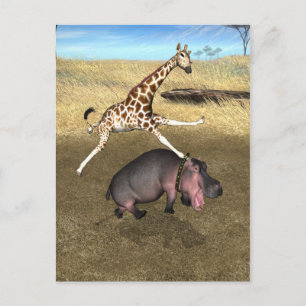 Rodeo Hippo Postkarte