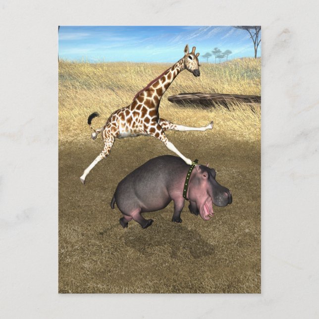 Rodeo Hippo Postkarte (Vorderseite)