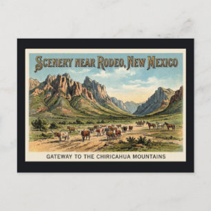 Rodeo, New Mexico - Viehertreiben Vintage-Postkart Postkarte