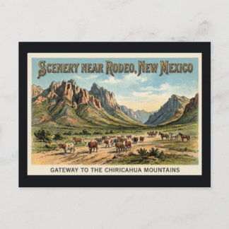 Rodeo, New Mexico - Viehertreiben Vintage-Postkart Postkarte