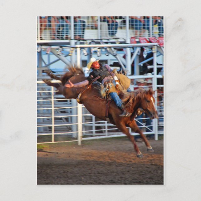 Rodeo! Postkarte (Vorderseite)