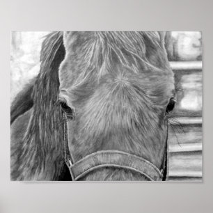 Rodeobild Poster