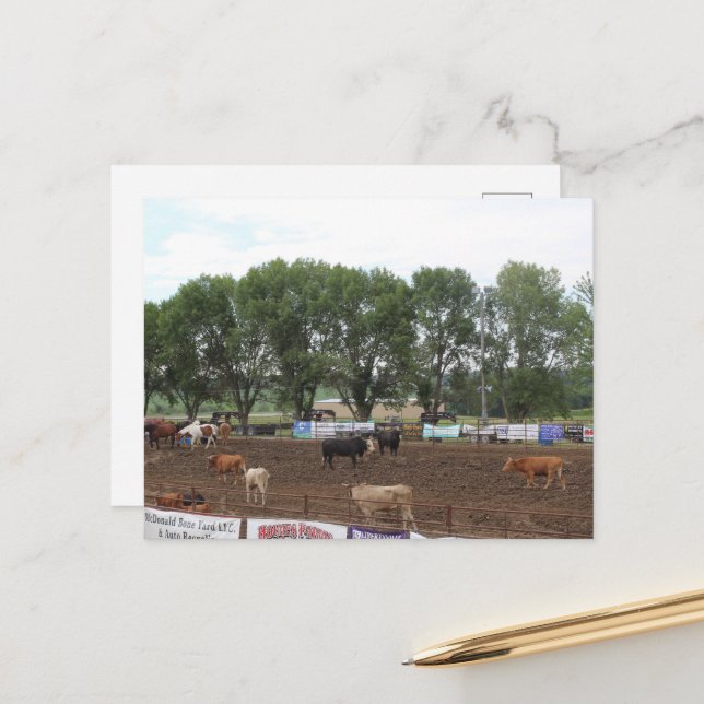 Rodeopferde und Stiere Postkarte (Vorderseite/Rückseite Beispiel)