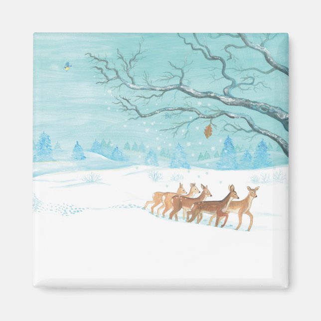 Roe Deer im Winterwald mit Schnee Magnet (Vorne)