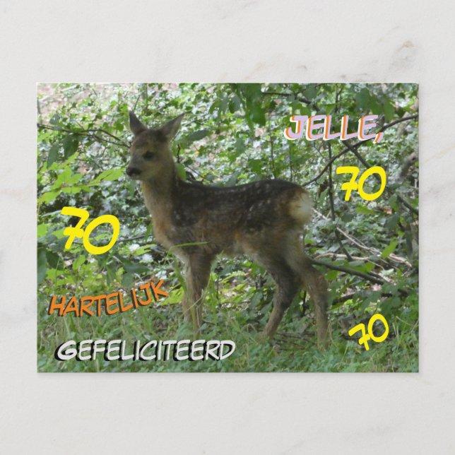 Roe Deer in Forrest Cust. Geburtstagskarte Postkarte (Vorderseite)