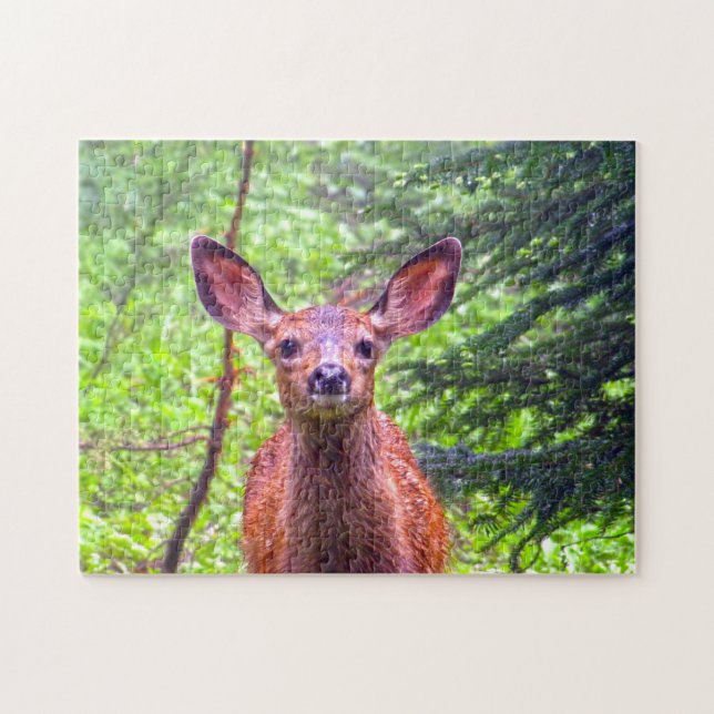 Roe Deer Montana. Puzzle (Horizontal)
