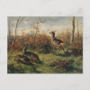 Roe Deer von Rosa Bonheur Postcard Postkarte