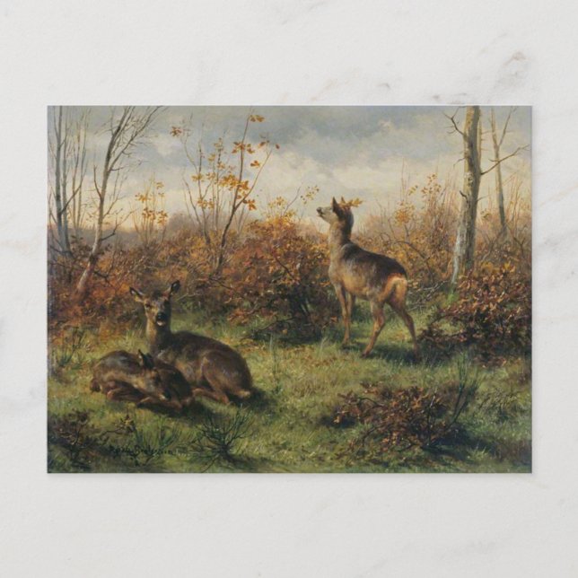 Roe Deer von Rosa Bonheur Postcard Postkarte (Vorderseite)