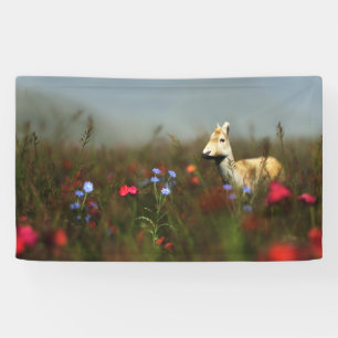 Roe in einem Wiese-Banner Banner