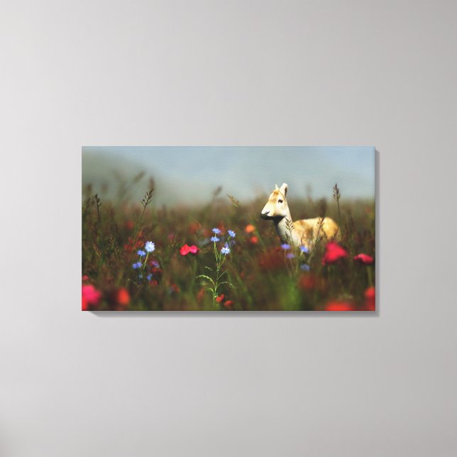 Roe in einer Wiese Canvas Print Leinwanddruck (Vorderseite)