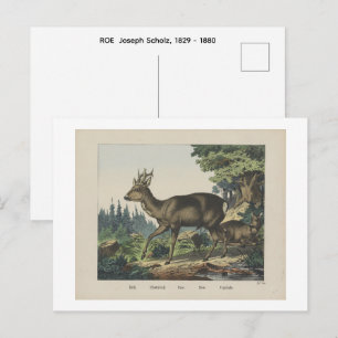 ROE Joseph Scholz, 1829 - 1880 Postkarte