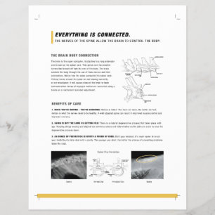 ROF-Blatt (Hund + Pferd) Flyer