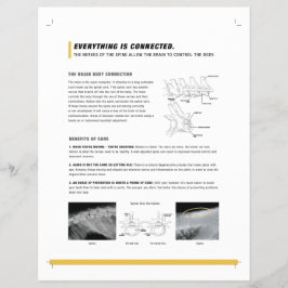 ROF-Blatt (Hunde + Pferde) Flyer