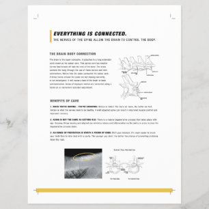 ROF-Flyer (equine) Flyer