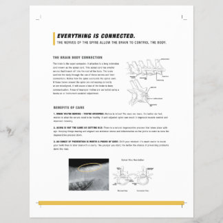 ROF-Flyer (equine) Flyer