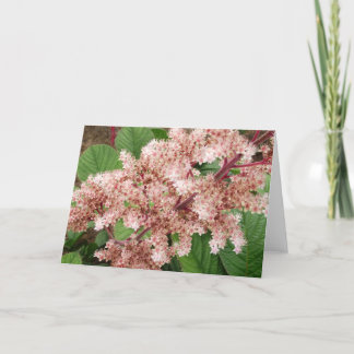 Rogersia Blumen-freier Raum Notecard Karte