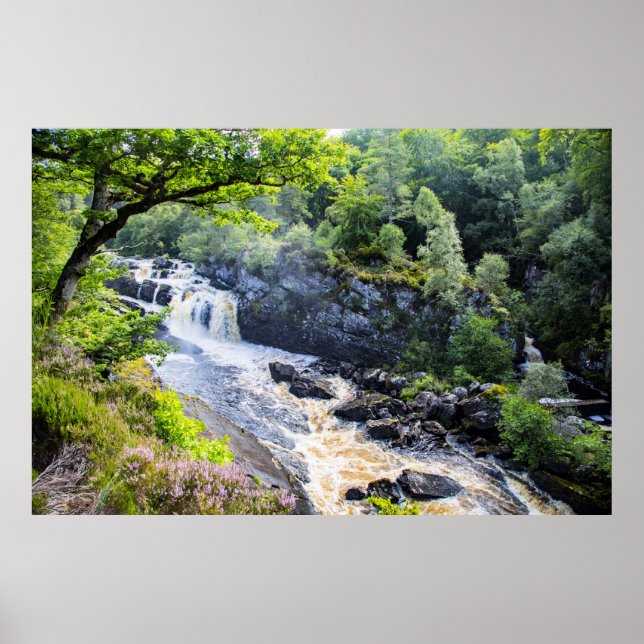 Rogie Falls, Schottland Poster (Vorne)
