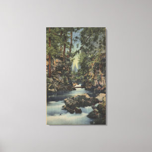 Rogue River, Oregon - Obere Schlucht Blick auf den Leinwanddruck