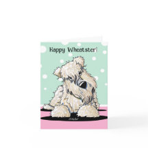 Rohe Karten für den Terrier Oaster