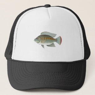 Rohe Meeresfrüchtetilapia-Fisch-Vektor Truckerkappe
