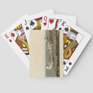 Rohrleitung von Audubons Vögeln Amerikas Spielkarten