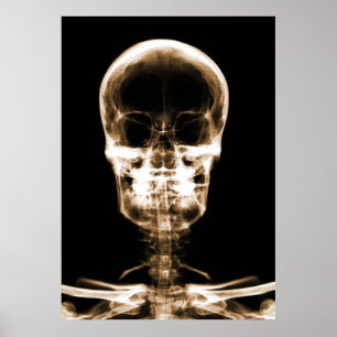 RÖHRLICHER VISION SKELETON SKULL - ORANGE POSTER