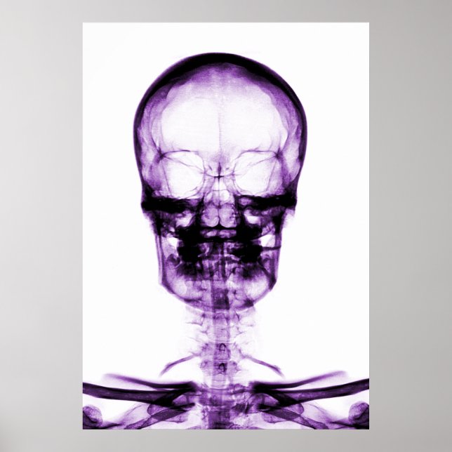 RÖHRLICHES VISION SKELETON SKULL - LILA POSTER (Vorne)