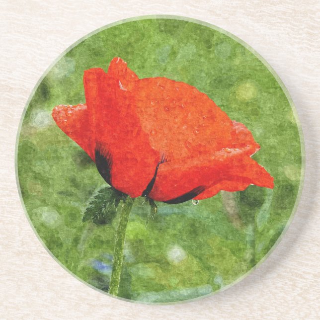 Rohroter Mohn Sandstein Untersetzer (Vorne)