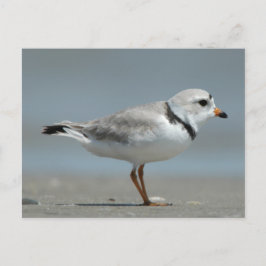 Rohrpflaster Postkarte