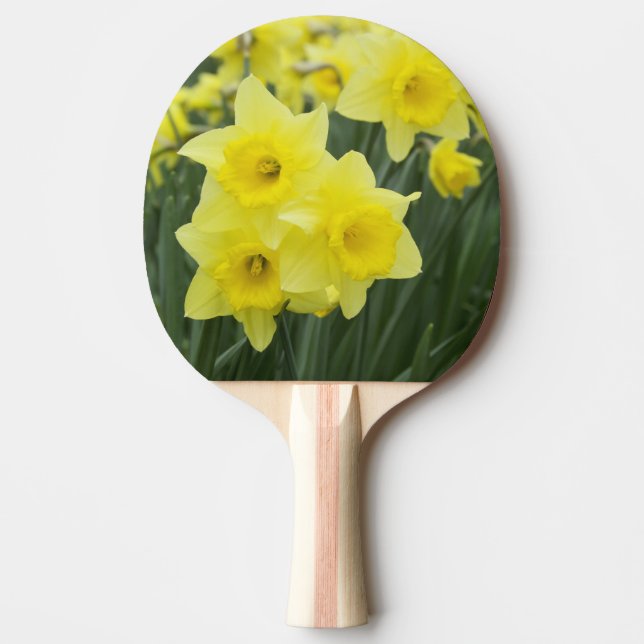 Rohstoffe Tischtennis Schläger (Vorderseite)