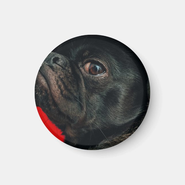 Rojo Magnet (Vorne)