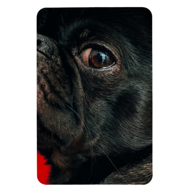Rojo Magnet (Vertikal)