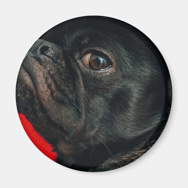 Rojo Magnet (Vorne)