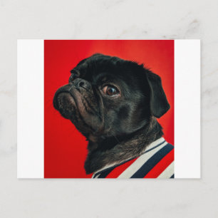 Rojo Postkarte