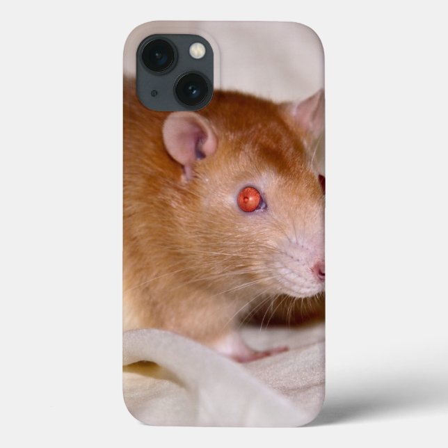 Rolando iPad Hülle (Rückseite)